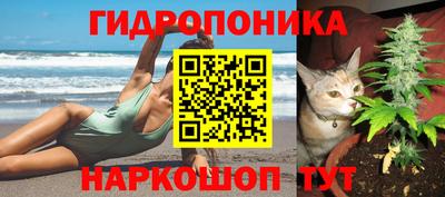 прущие грибы Бузулук
