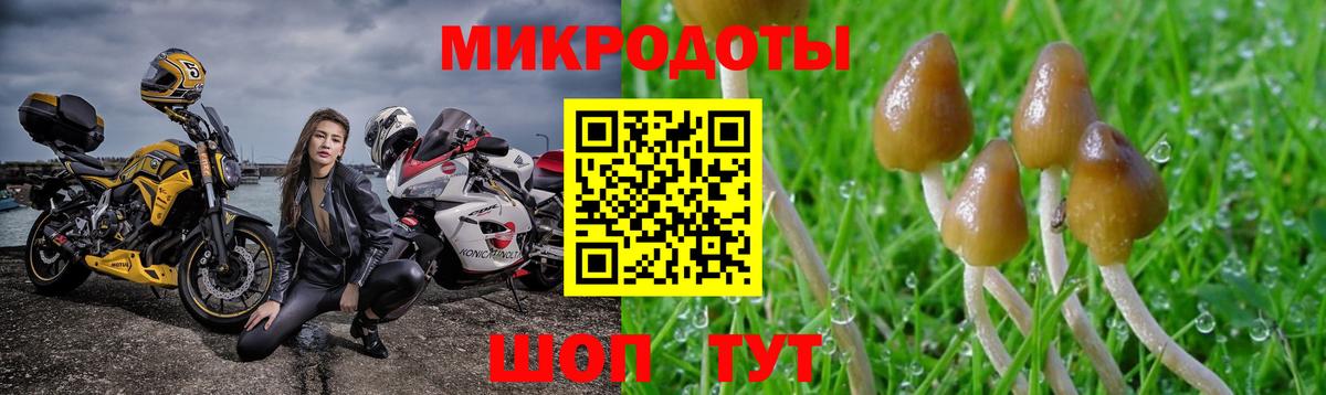 Майкоп  Псилоцибиновые грибы мицелий  Вход с VPN 